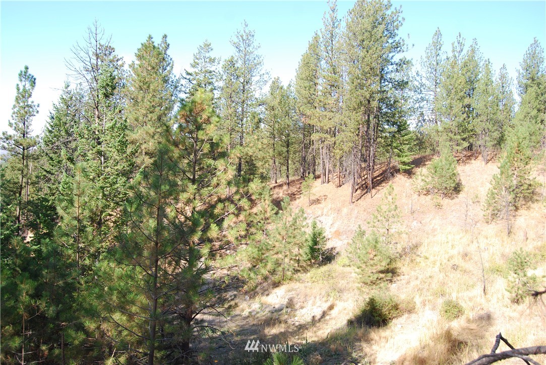 1 Long Horn Trail Riverside, WA 98849 - Photo 10 of 19 Gallery Image 10