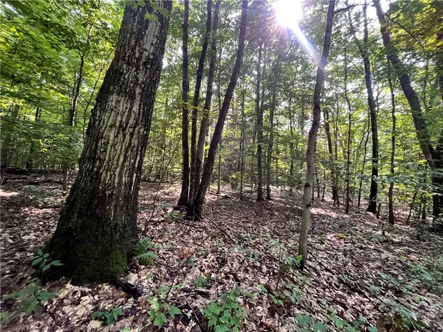 $179,900 | 503 Centerville Road, Pulaski, NY 13142