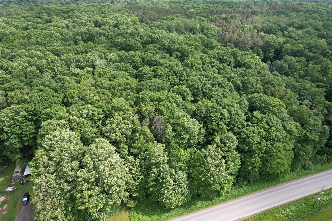 503 Centerville Road Pulaski, NY 13142 - Photo 14 of 44