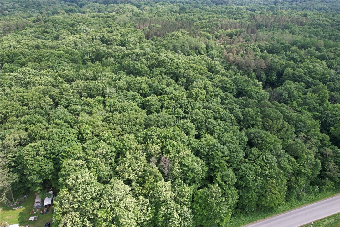 503 Centerville Road Pulaski, NY 13142 - Photo 15 of 44