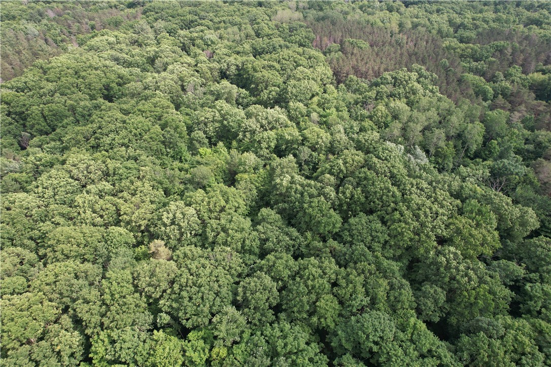 503 Centerville Road Pulaski, NY 13142 - Photo 16 of 44