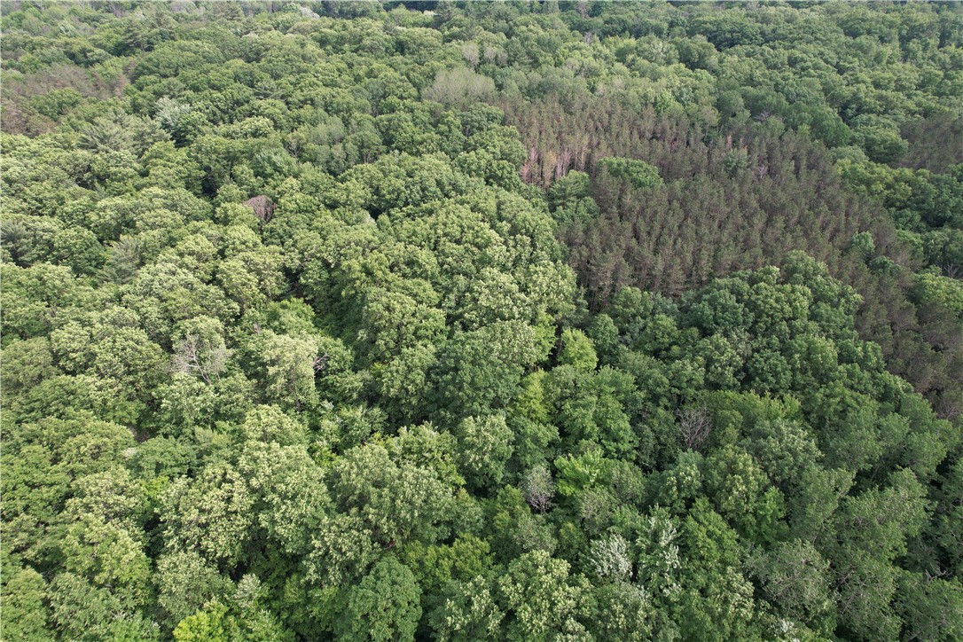 503 Centerville Road Pulaski, NY 13142 - Photo 17 of 44