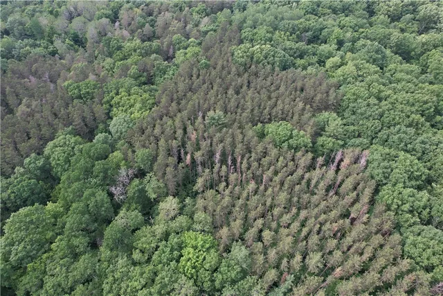 $179,900 | 503 Centerville Road, Pulaski, NY 13142