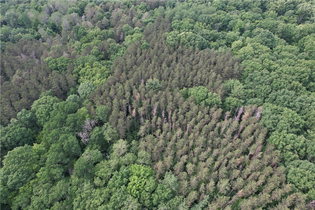 503 Centerville Road Pulaski, NY 13142 - Photo 19 of 44