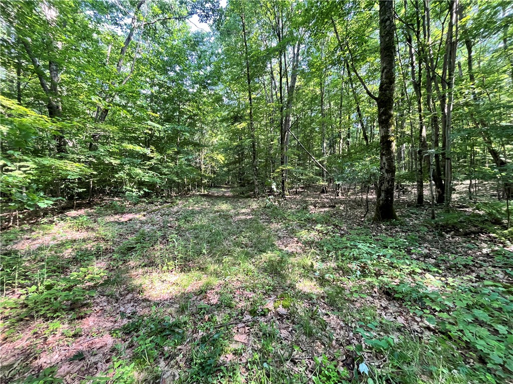 503 Centerville Road Pulaski, NY 13142 - Photo 20 of 44