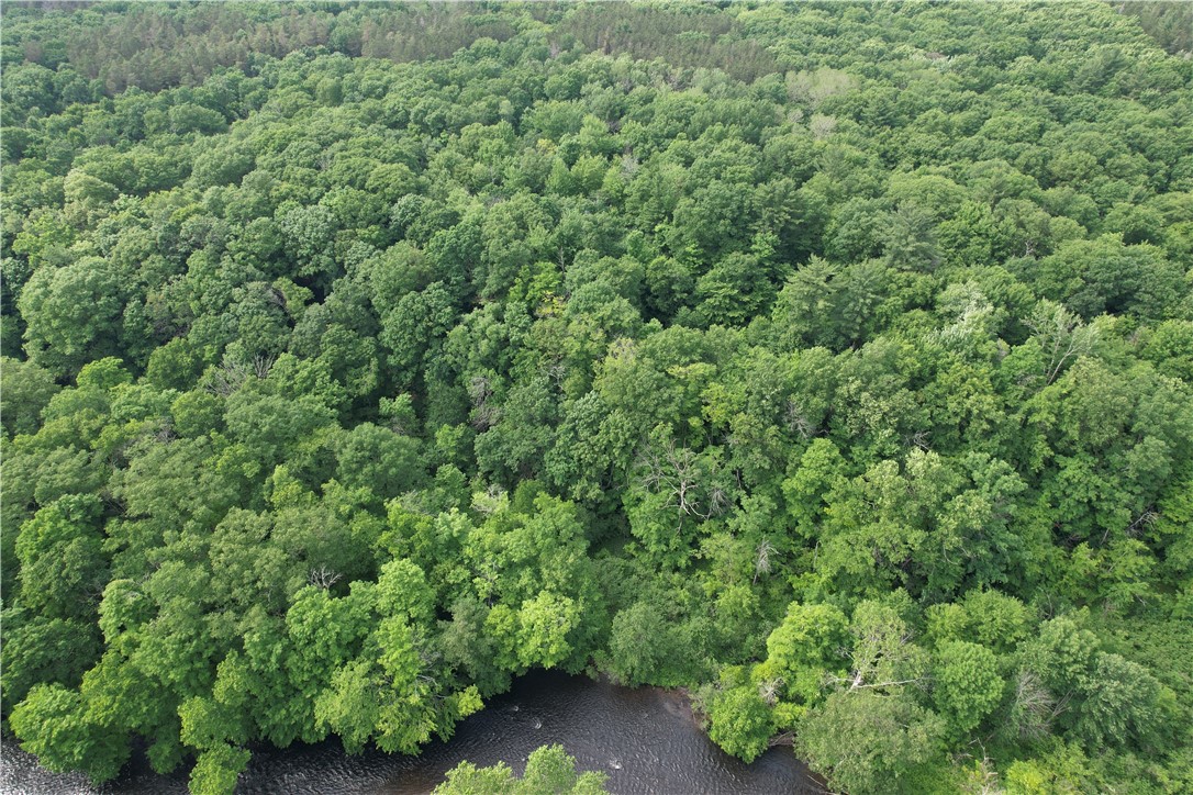 503 Centerville Road Pulaski, NY 13142 - Photo 2 of 44