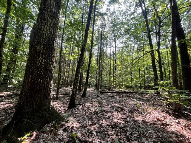 $179,900 | 503 Centerville Road, Pulaski, NY 13142