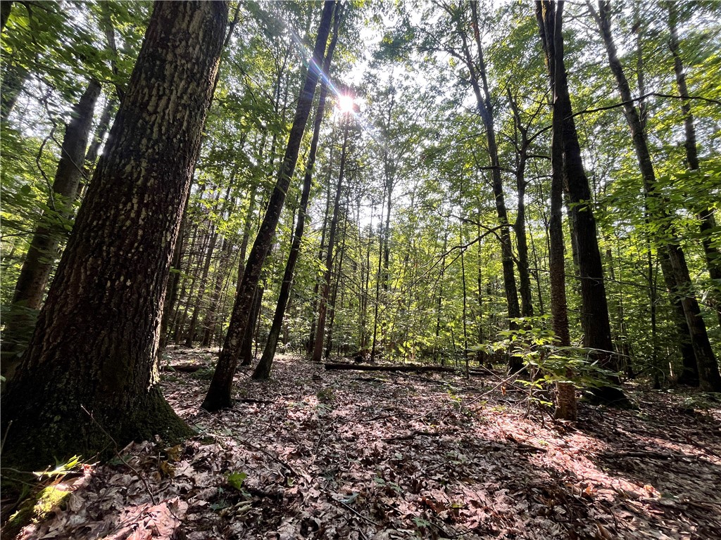 503 Centerville Road Pulaski, NY 13142 - Photo 22 of 44