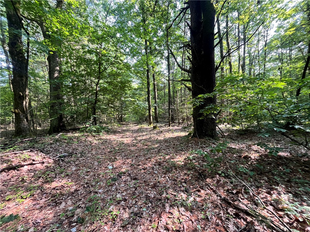 503 Centerville Road Pulaski, NY 13142 - Photo 23 of 44