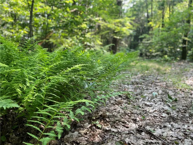 $179,900 | 503 Centerville Road, Pulaski, NY 13142