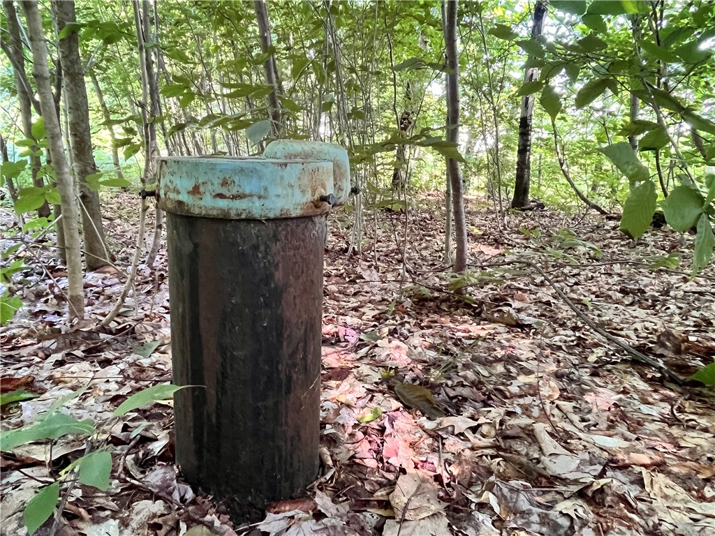 503 Centerville Road Pulaski, NY 13142 - Photo 30 of 44