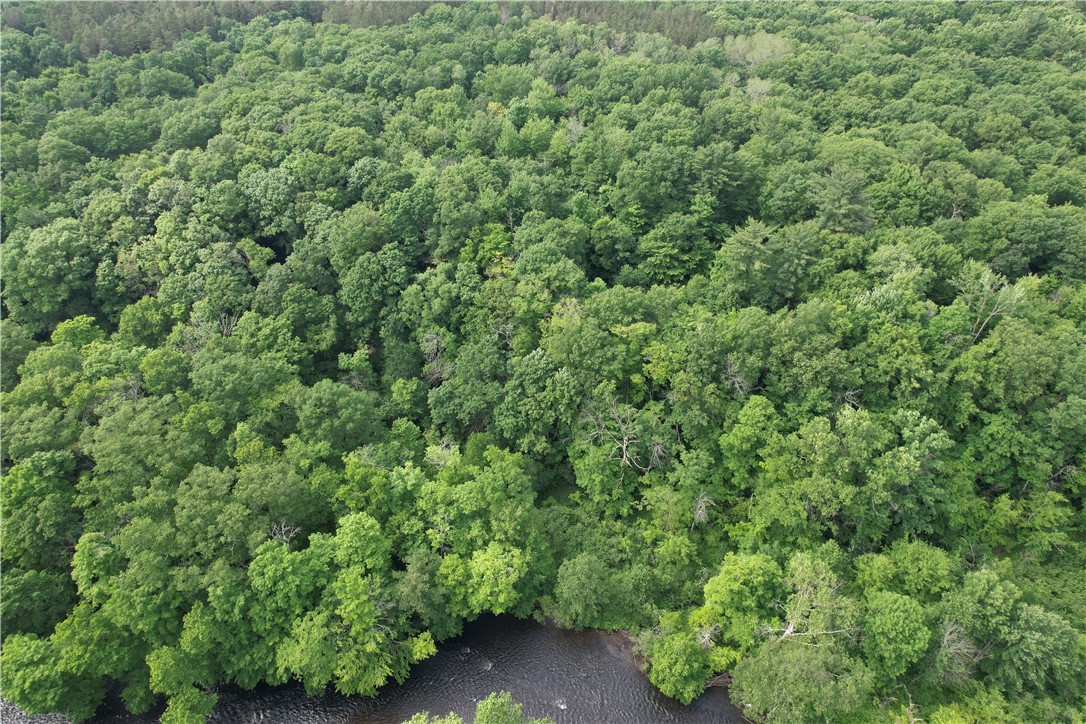 503 Centerville Road Pulaski, NY 13142 - Photo 3 of 44