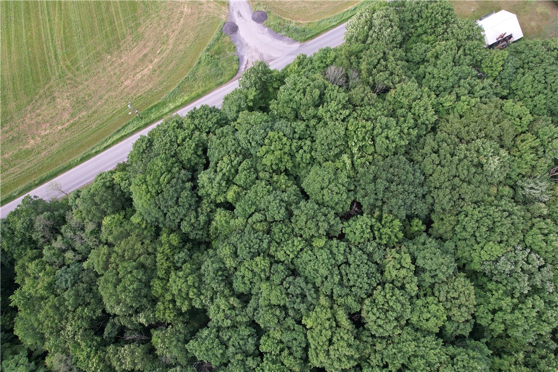 503 Centerville Road Pulaski, NY 13142 - Photo 33 of 44