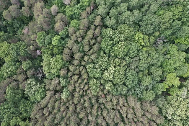 $179,900 | 503 Centerville Road, Pulaski, NY 13142