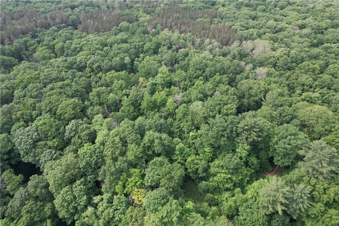 503 Centerville Road Pulaski, NY 13142 - Photo 4 of 44