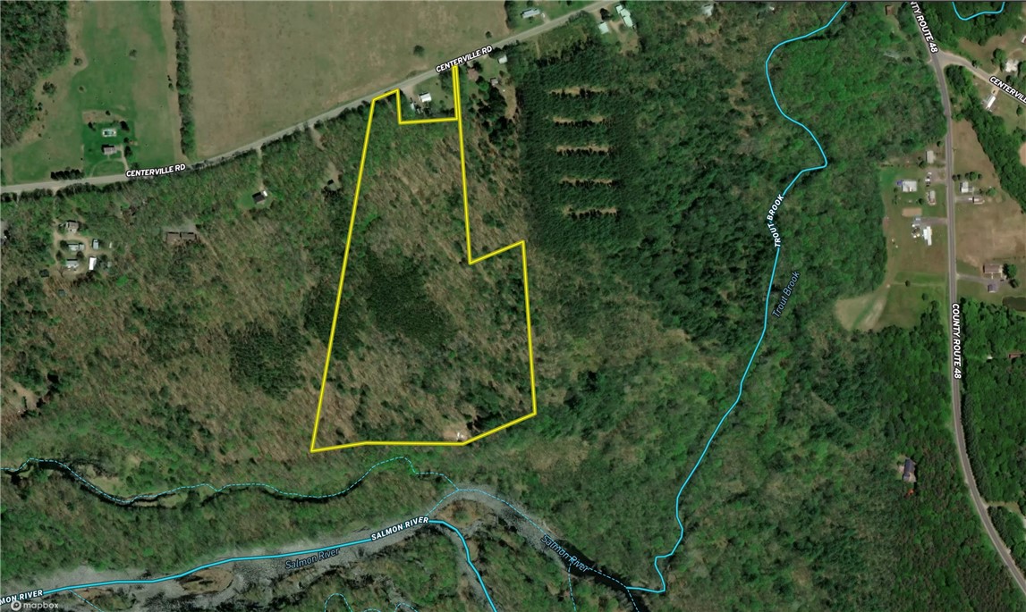 503 Centerville Road Pulaski, NY 13142 - Photo 41 of 44