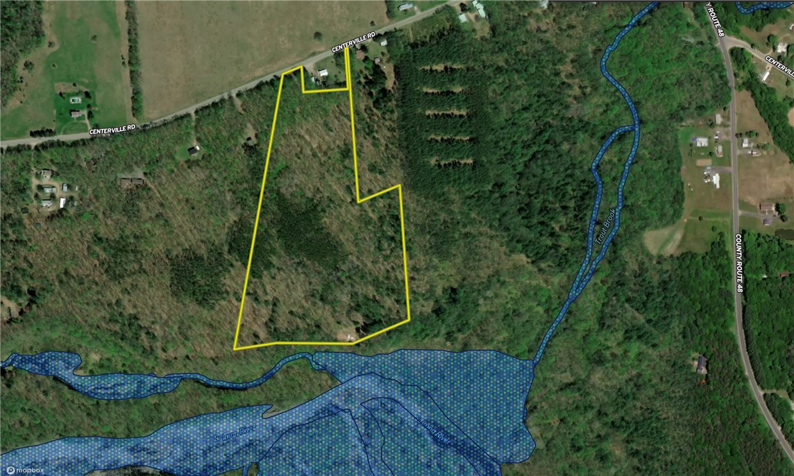 503 Centerville Road Pulaski, NY 13142 - Photo 42 of 44