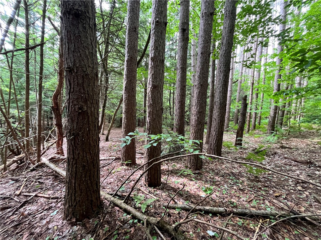 503 Centerville Road Pulaski, NY 13142 - Photo 5 of 44