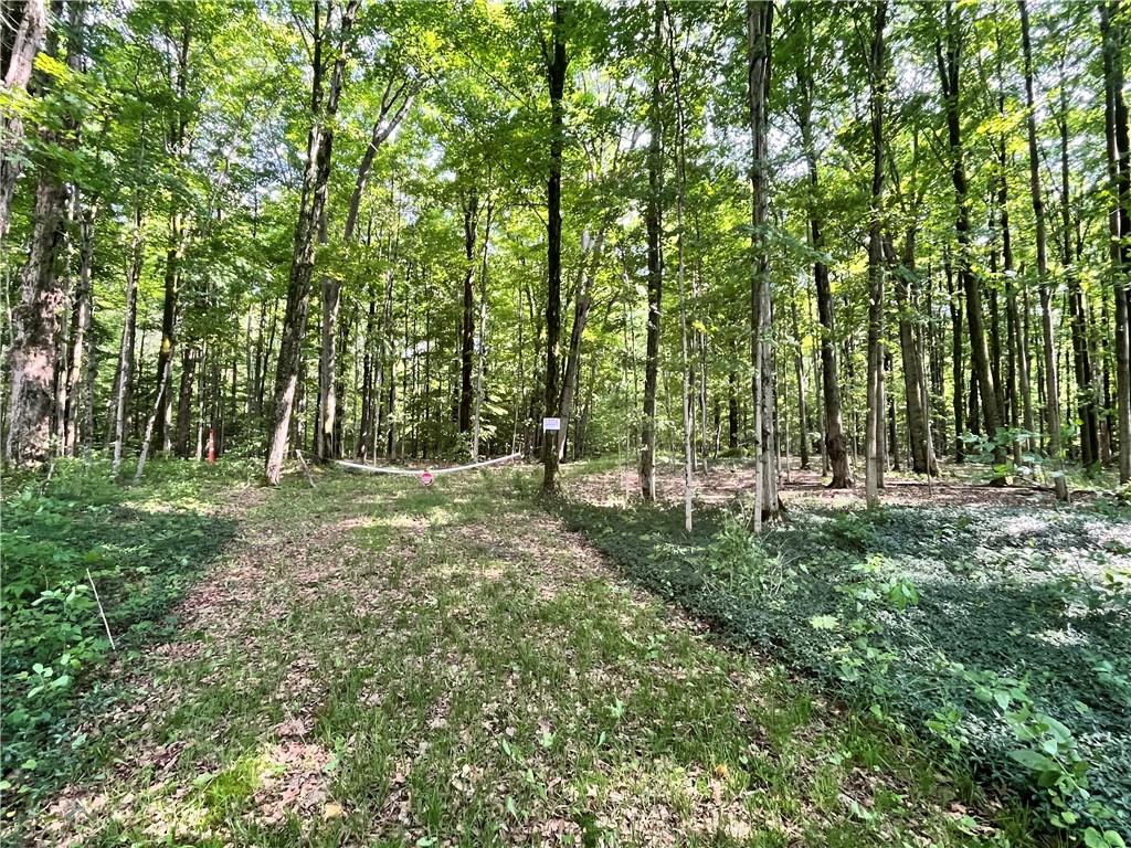 503 Centerville Road Pulaski, NY 13142 - Photo 6 of 44