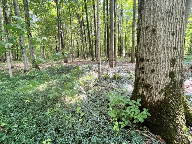 $179,900 | 503 Centerville Road, Pulaski, NY 13142