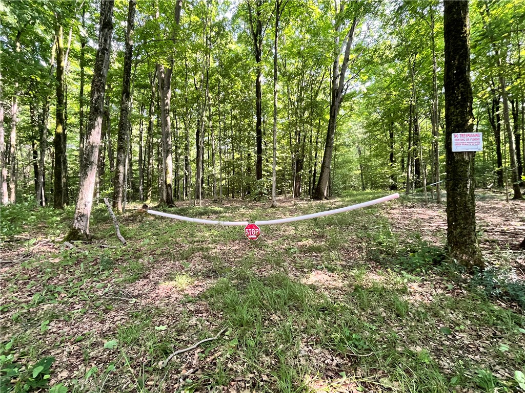 503 Centerville Road Pulaski, NY 13142 - Photo 8 of 44