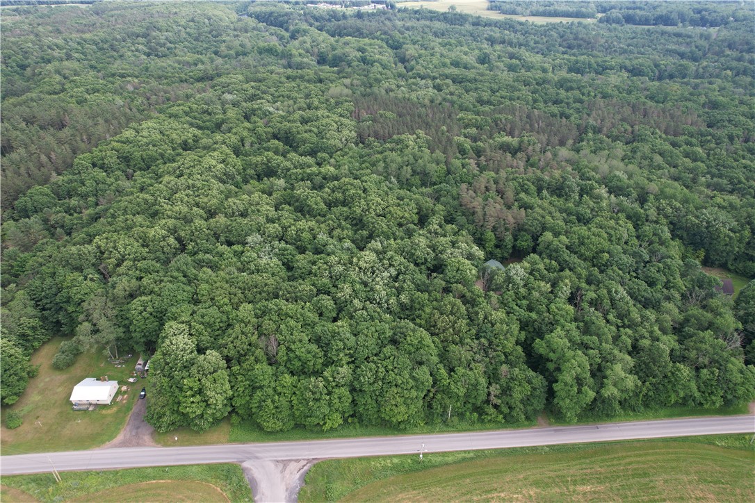 503 Centerville Road Pulaski, NY 13142 - Photo 9 of 44