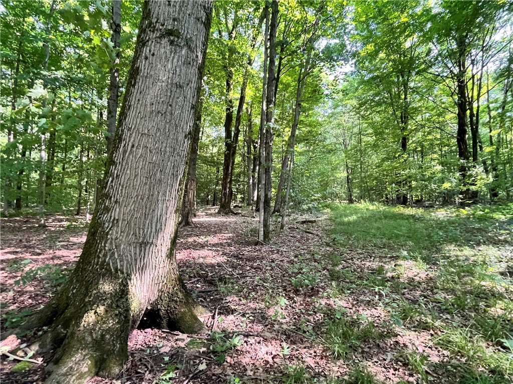 503 Centerville Road Pulaski, NY 13142 - Photo 10 of 44