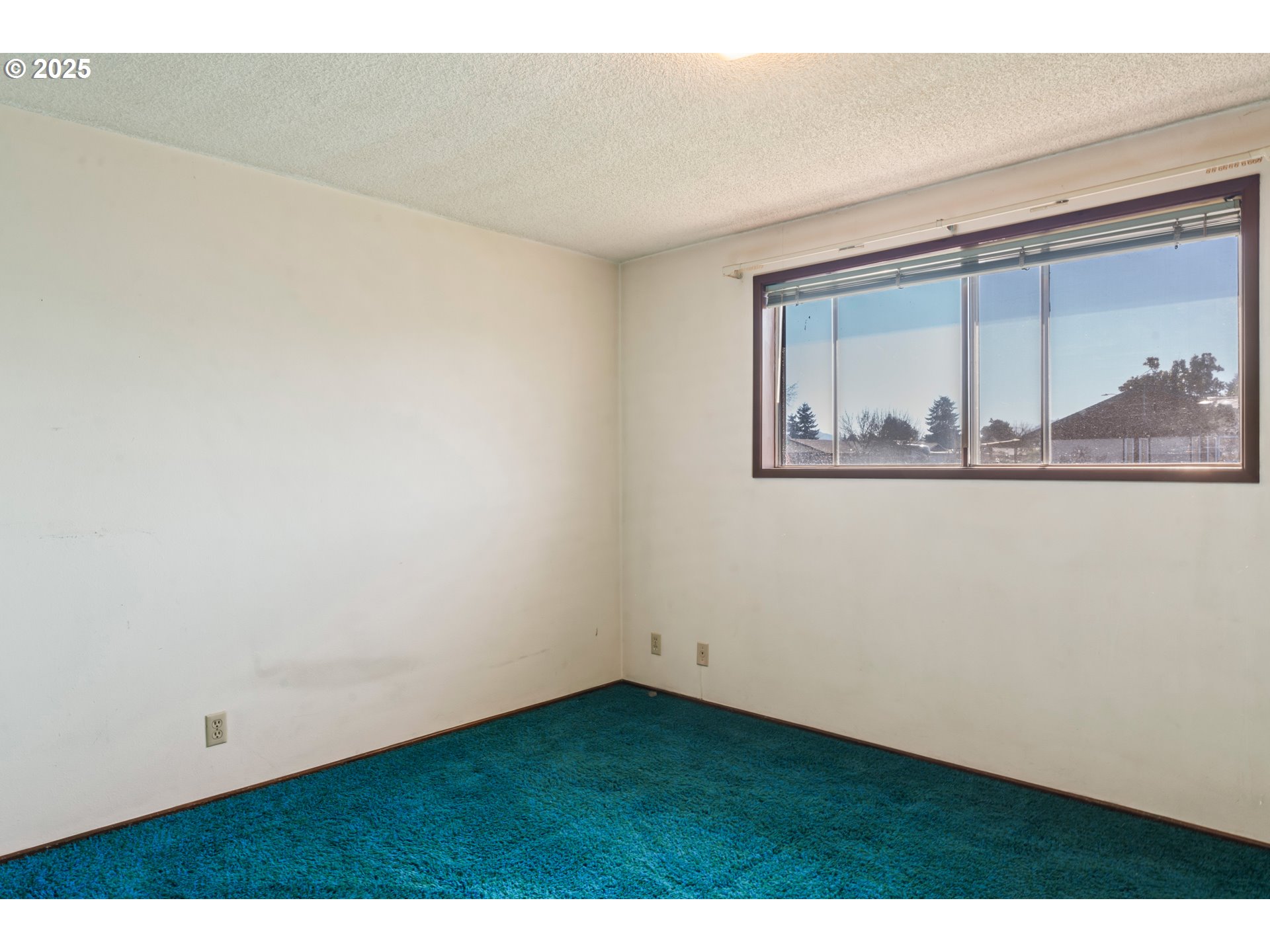 782 V Street Springfield, OR 97477 - Photo 15 of 45