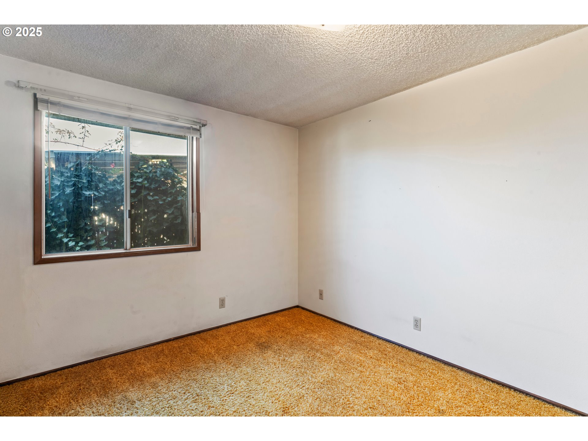 782 V Street Springfield, OR 97477 - Photo 17 of 45