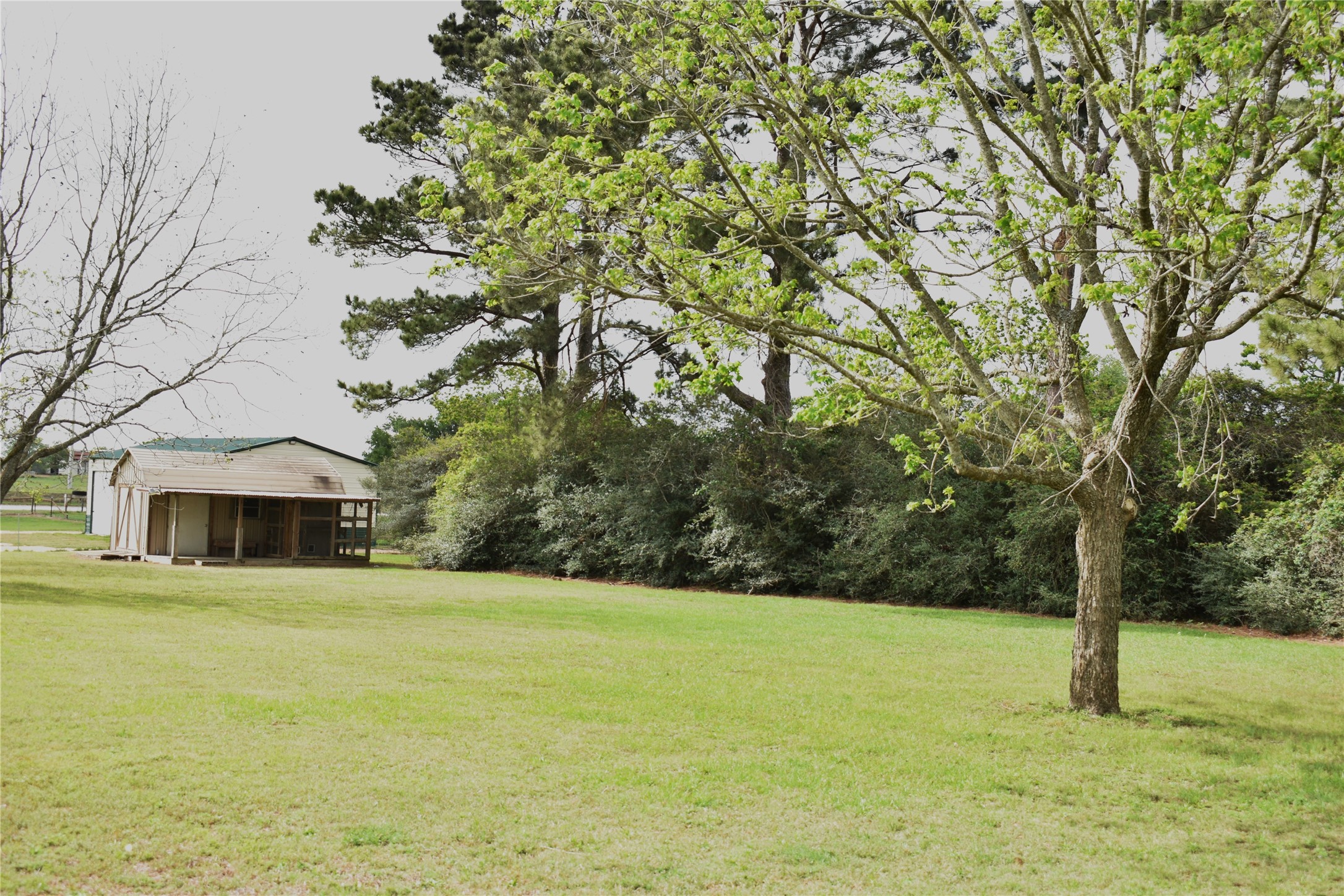 35564 Brumlow Road Hempstead, TX 77445 - Photo 11 of 18 a view of an outdoor space and a yard