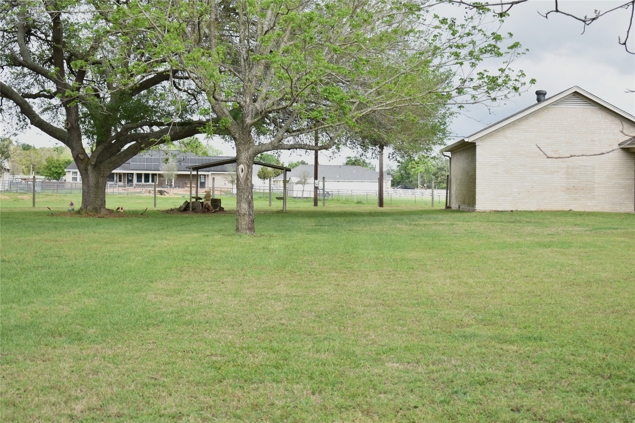 35564 Brumlow Road Hempstead, TX 77445 - Photo 7 of 18 a big yard with large trees