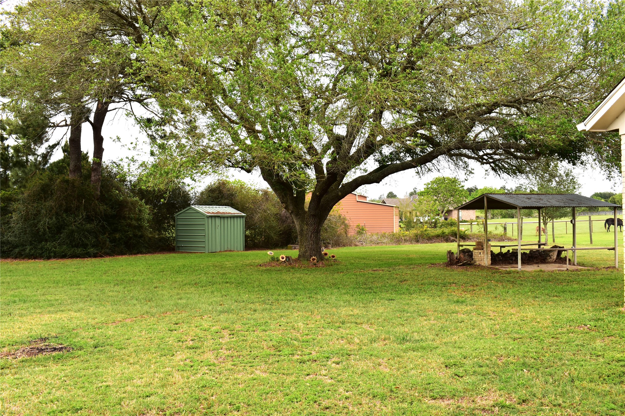 35564 Brumlow Road Hempstead, TX 77445 - Photo 8 of 18 a view of a yard with a house in the background