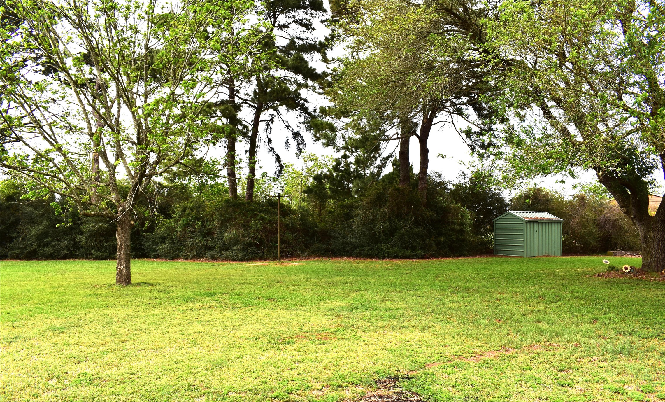 35564 Brumlow Road Hempstead, TX 77445 - Photo 9 of 18 a view of a basketball court