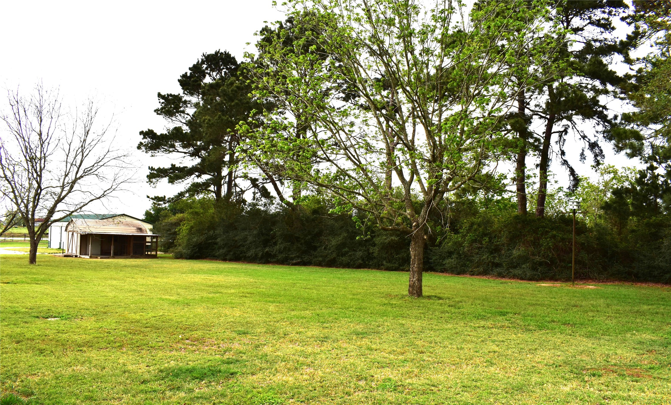 35564 Brumlow Road Hempstead, TX 77445 - Photo 10 of 18 a backyard of a house with lots of green space