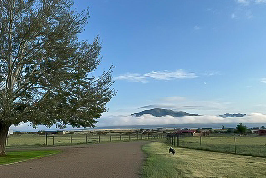 90 Nugent Road Edgewood, NM 87015 - Photo 55 of 61 Gallery Image 55