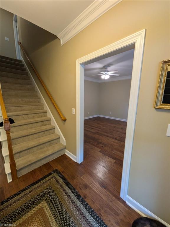 1702 Lakeland Point High Point, NC 27265 - Photo 5 of 50