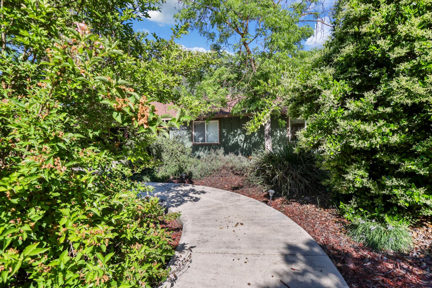 11919 Kirkwood Road Herald, CA 95638 - Photo 51 of 56