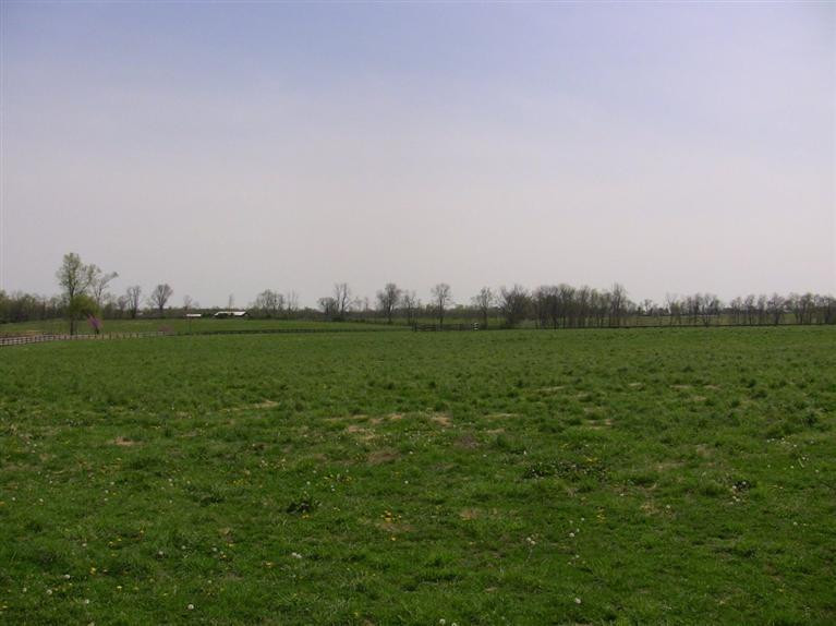 0 Paynes Depot Road Lexington, KY 40511 - Photo 17 of 29 Photo 17