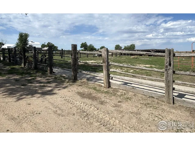 a view of a room with lots of trees