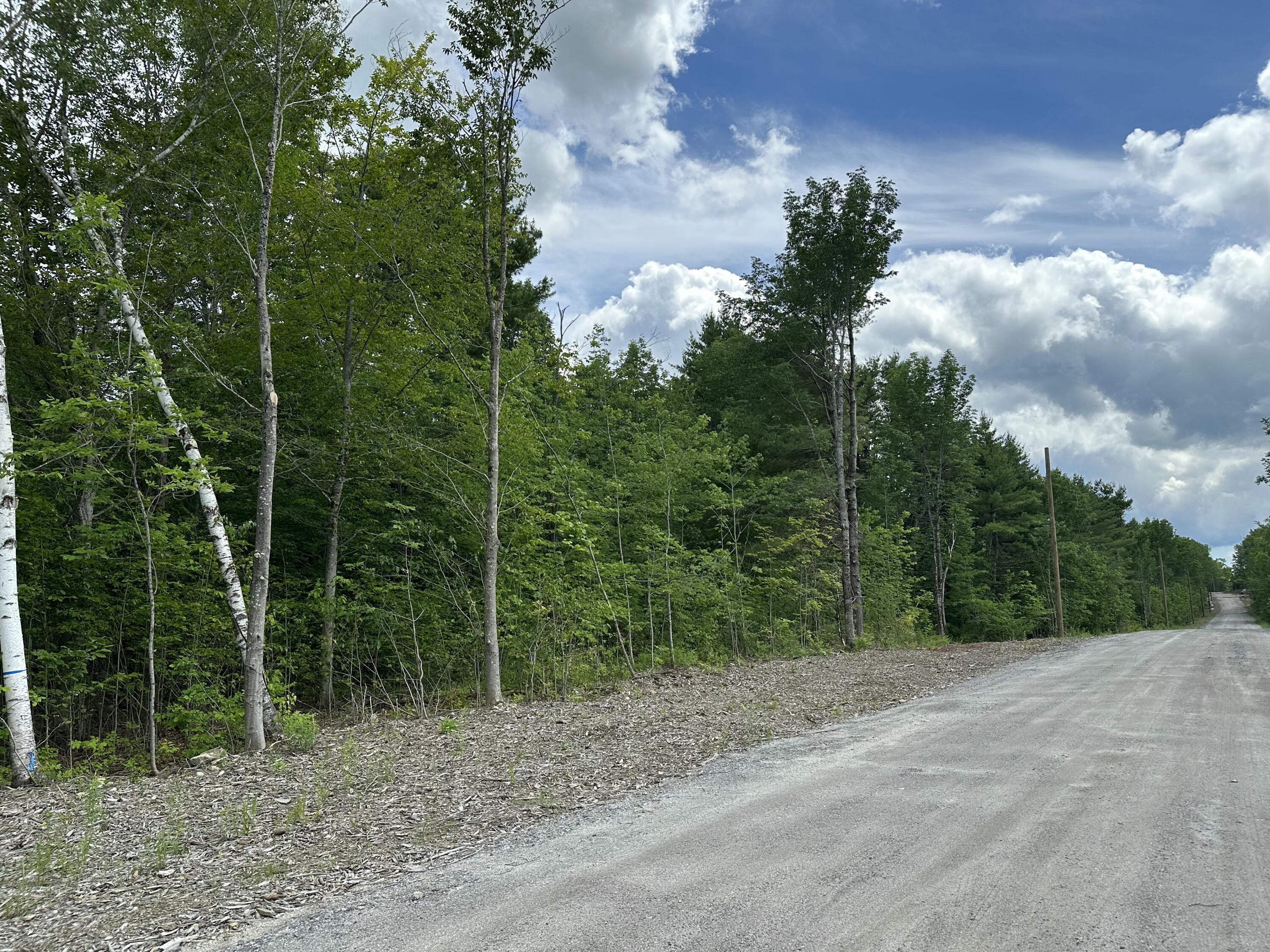 Tbd Dingley Road Bowdoinham, ME 04008 - Photo 6 of 7 10 Acres to Come out of Larger Parcel