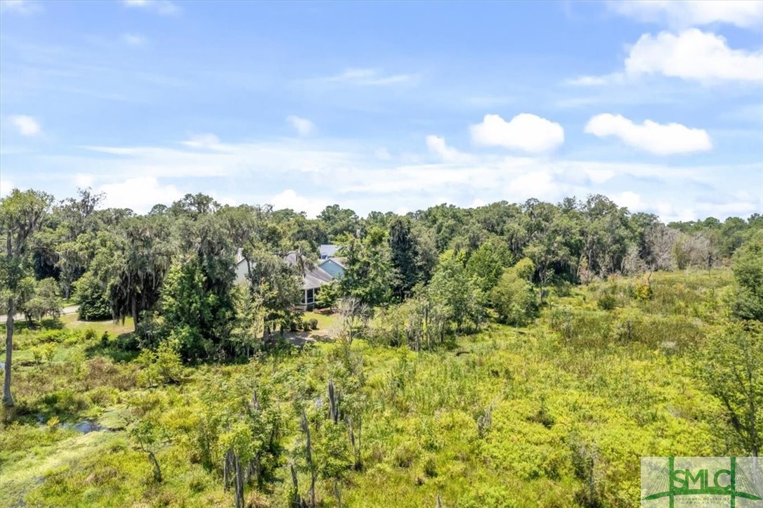 65 Rookery View Midway, GA 31320 - Photo 41 of 48