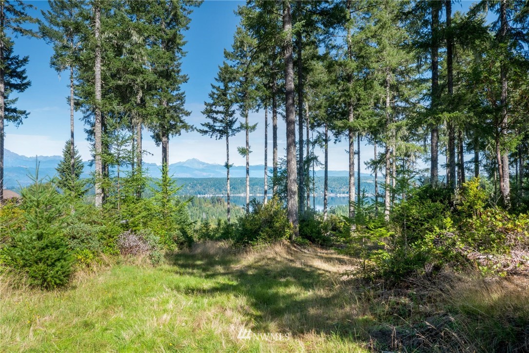 2 East Alderbrook Ridge Drive Union, WA 98592 - Photo 5 of 8 Gallery Image 5