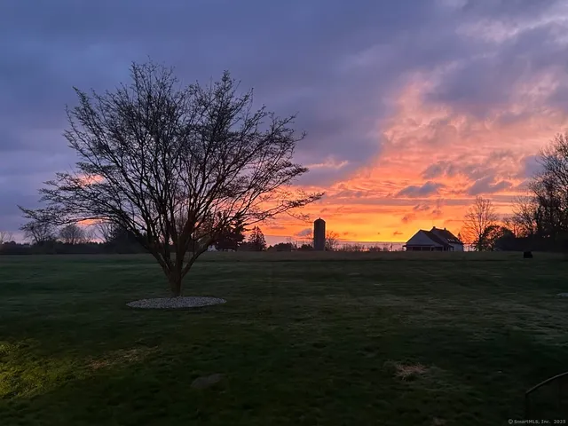 a view of outdoor space and yard