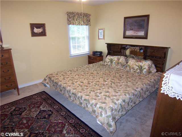 14101 Aldengate Road Midlothian, VA 23114 - Photo 12 of 21 Master Bedroom - Large master bedroom with walk in