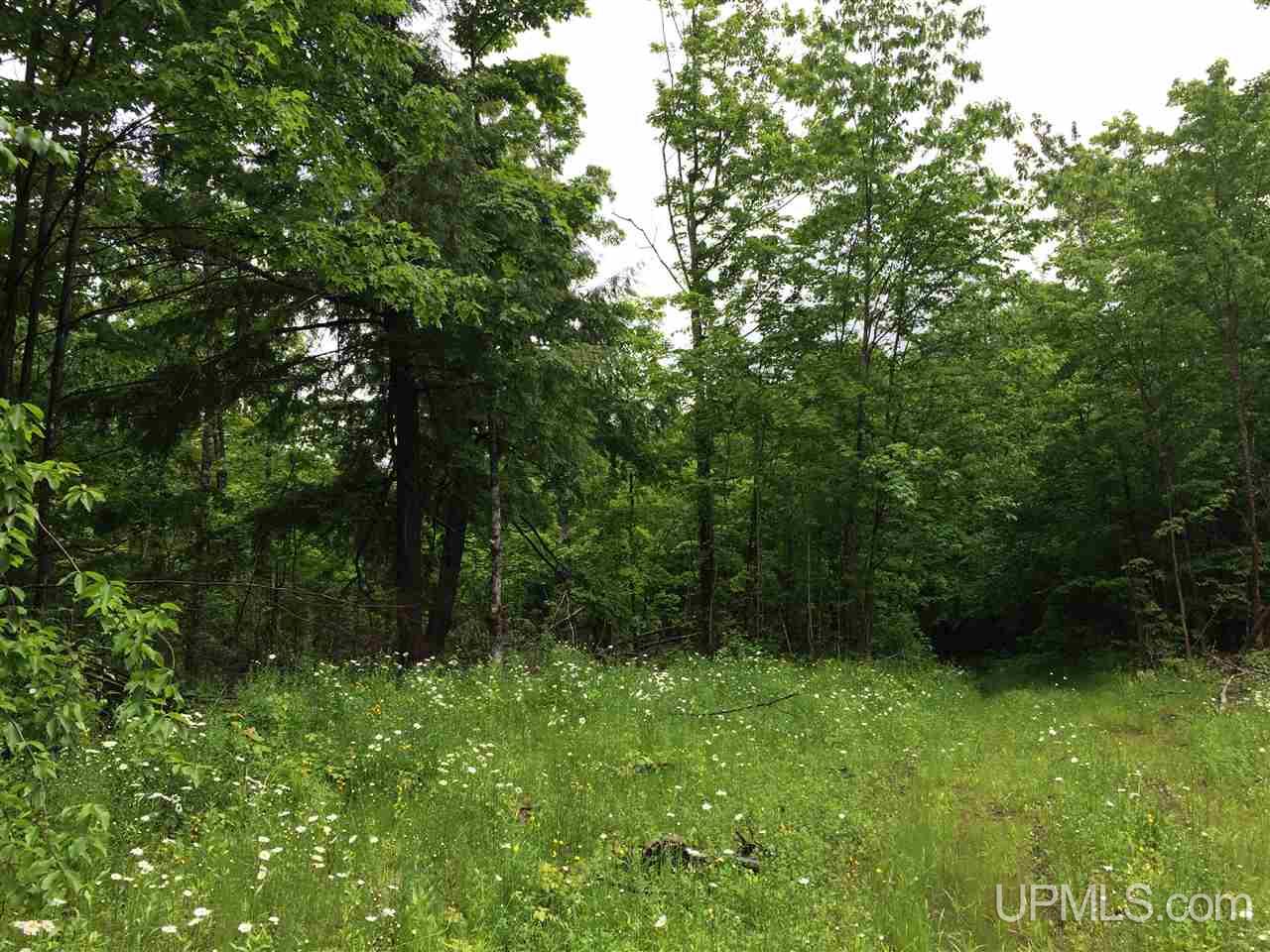 245 Maple Grove Road Skandia, MI 49885 - Photo 10 of 14