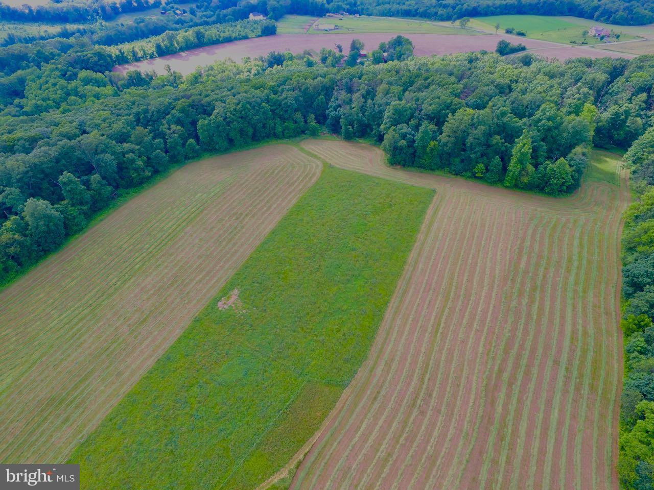 1004 Freeland Road Freeland, MD 21053 - Photo 26 of 30