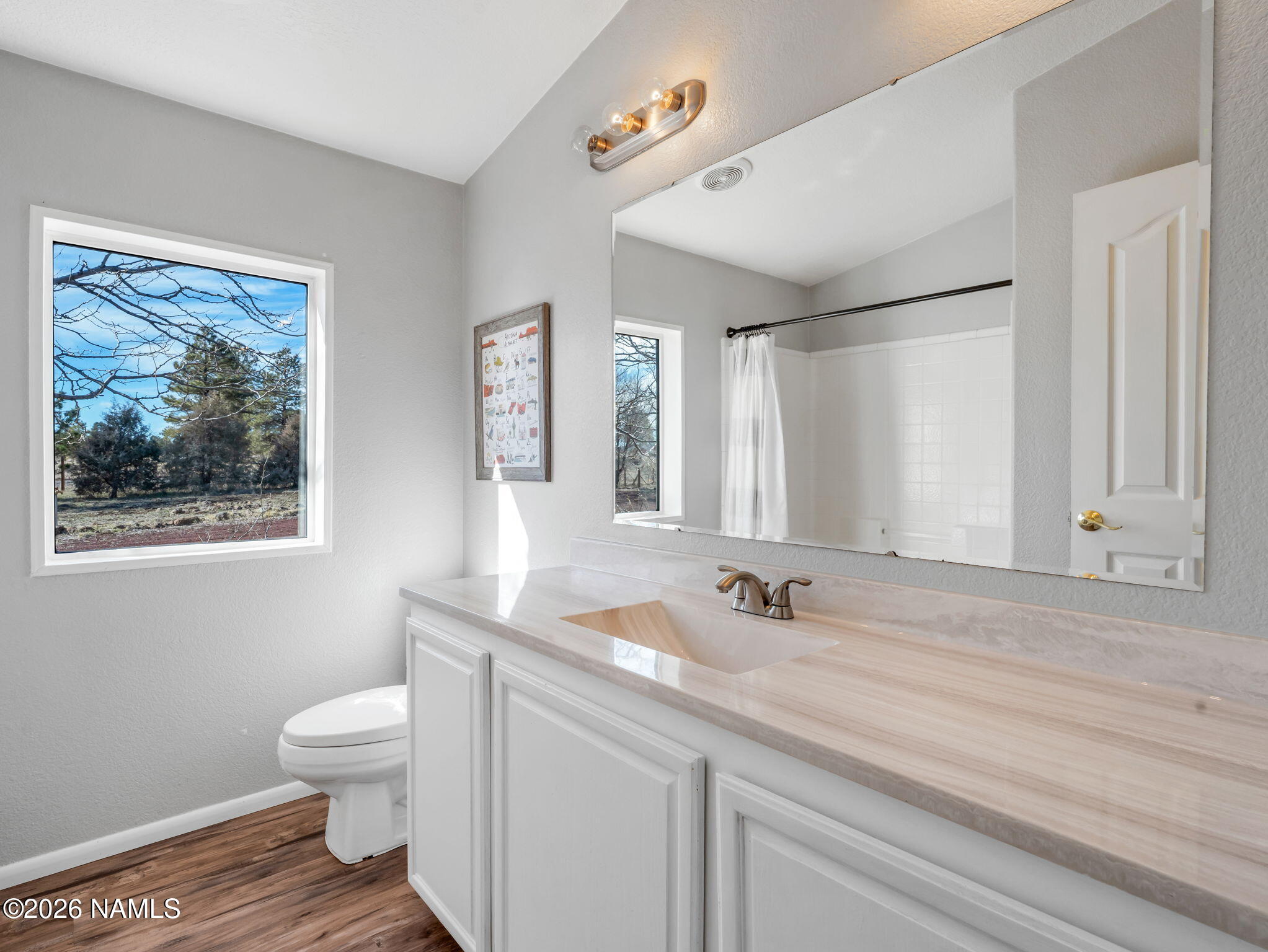 3095 North Peak View Road Williams, AZ 86046 - Photo 18 of 37 a bathroom with a sink a toilet and a large mirror