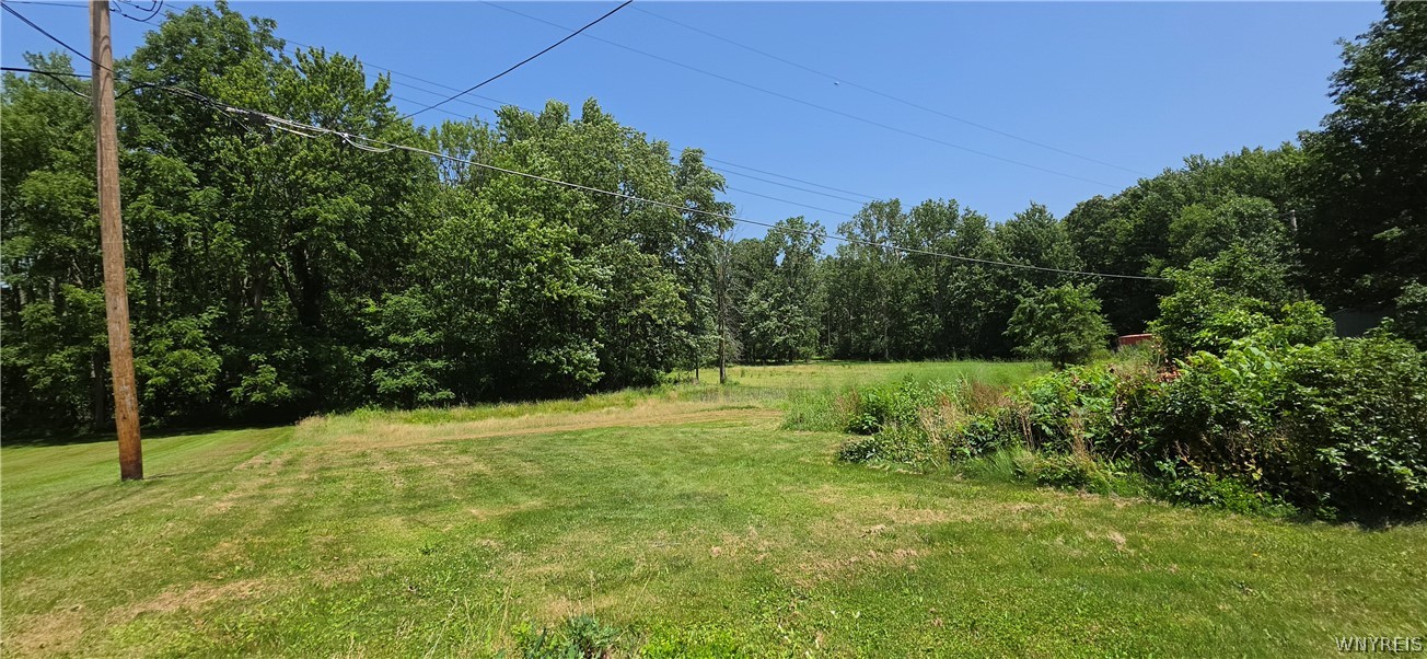 8805 Chestnut Ridge Road Royalton, NY 14067 - Photo 4 of 49