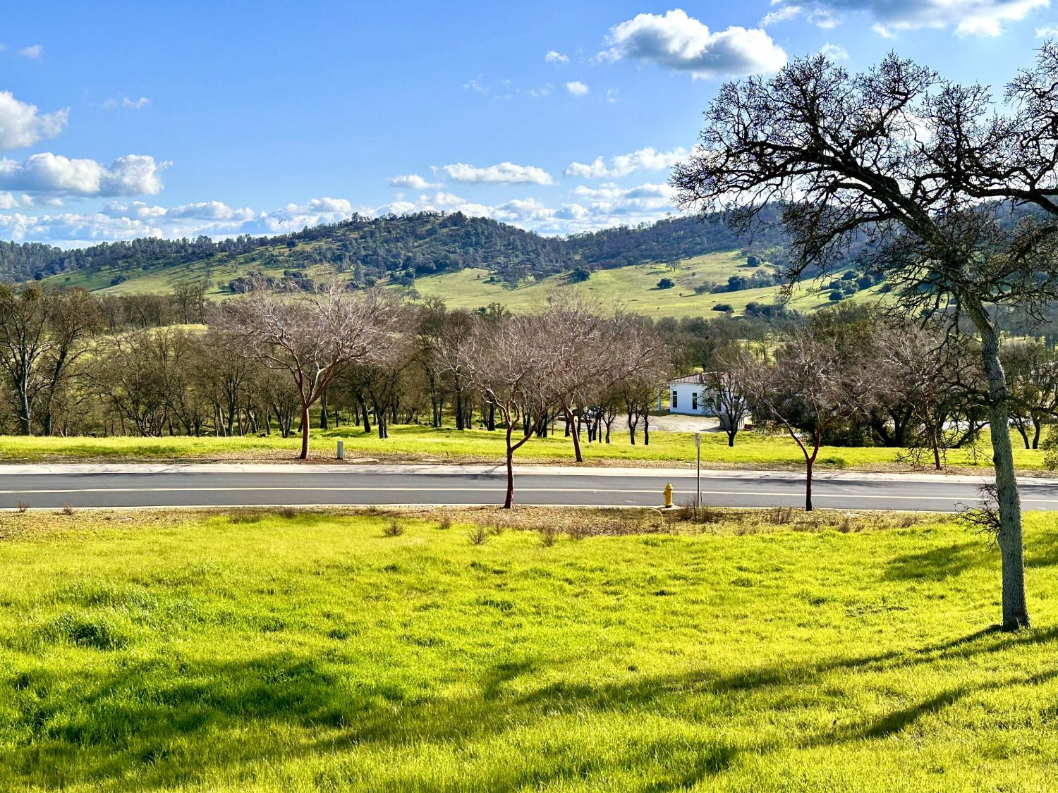 340 Hawk Ridge Copperopolis, CA 95228 - Photo 2 of 28 a view of lake with trees