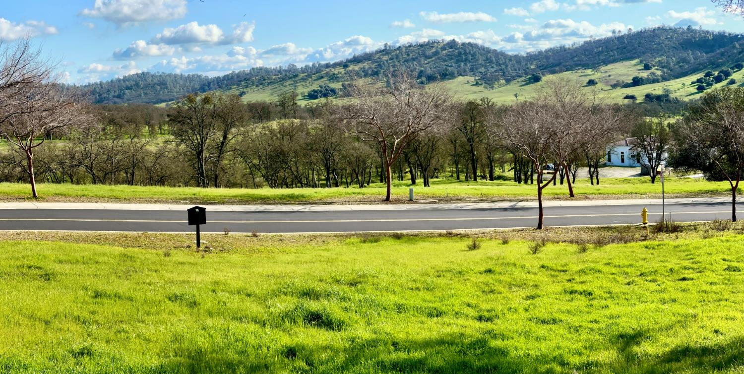 340 Hawk Ridge Copperopolis, CA 95228 - Photo 4 of 28 a view of a road with mountains in the background